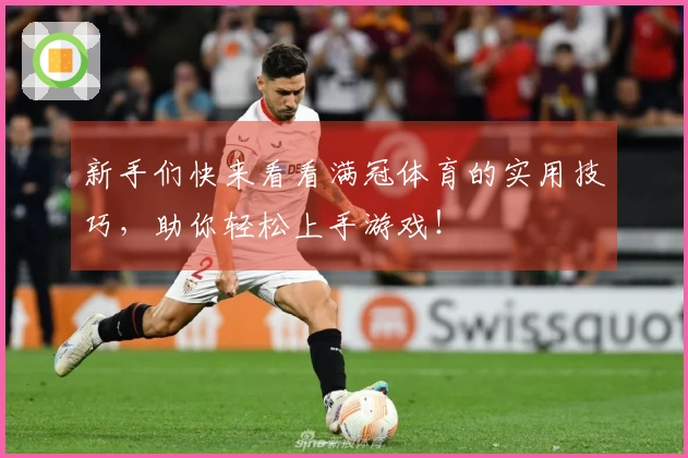 新手们快来看看满冠体育的实用技巧,助你轻松上手游戏!